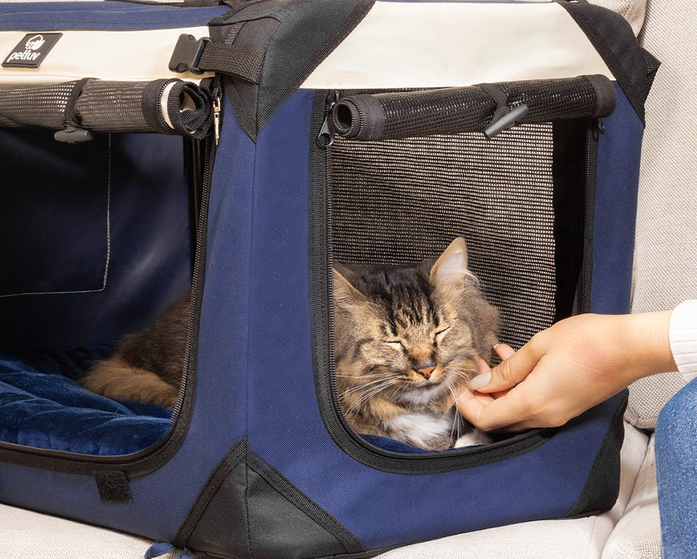 Are Soft Pet Carriers Safe: Essential Tips for Happy Pets