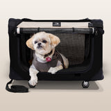 PetLuv Pull-Along Rolling Cat & Dog Carrier & Travel Crate