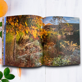 Cat Coffee Table Photo Book by CanYouFindACat