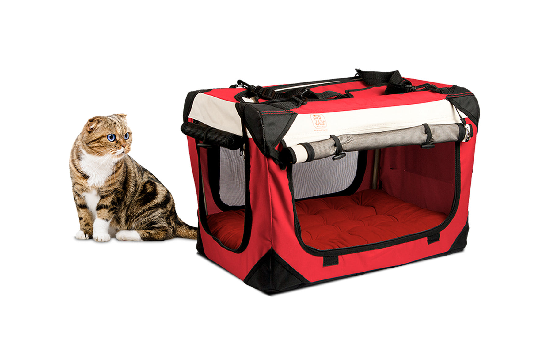 How to Get Your Pet to Love Their New Pet Carrier