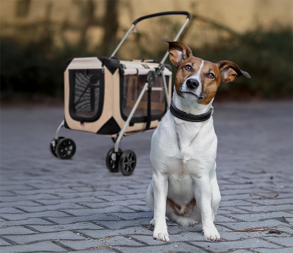 How to Make Travel Less Stressful for Your Pet