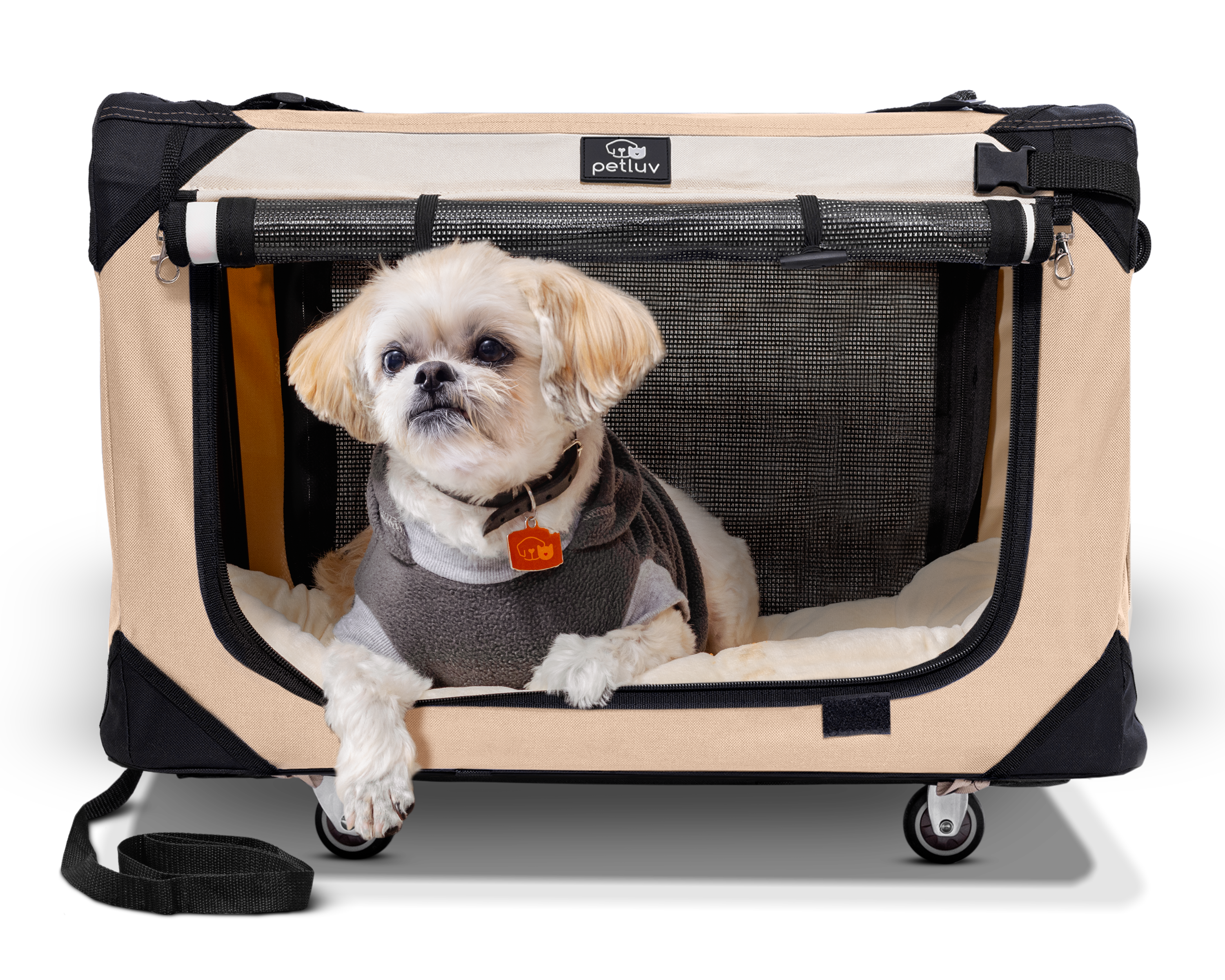 Our Pull-Along Pet Carrier Makes Pets Feel Like Royalty (And Saves Your Back!)