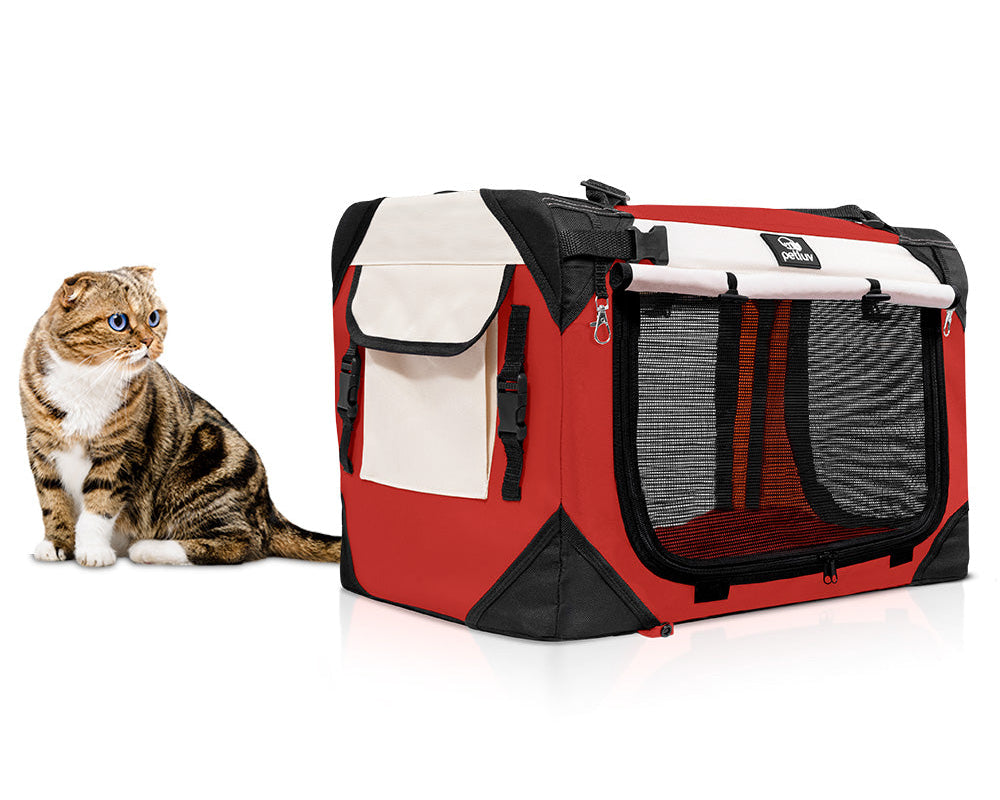 How to Get Your Pet to Love Their New Pet Carrier