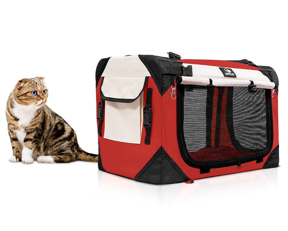 How to Get Your Pet to Love Their New Pet Carrier