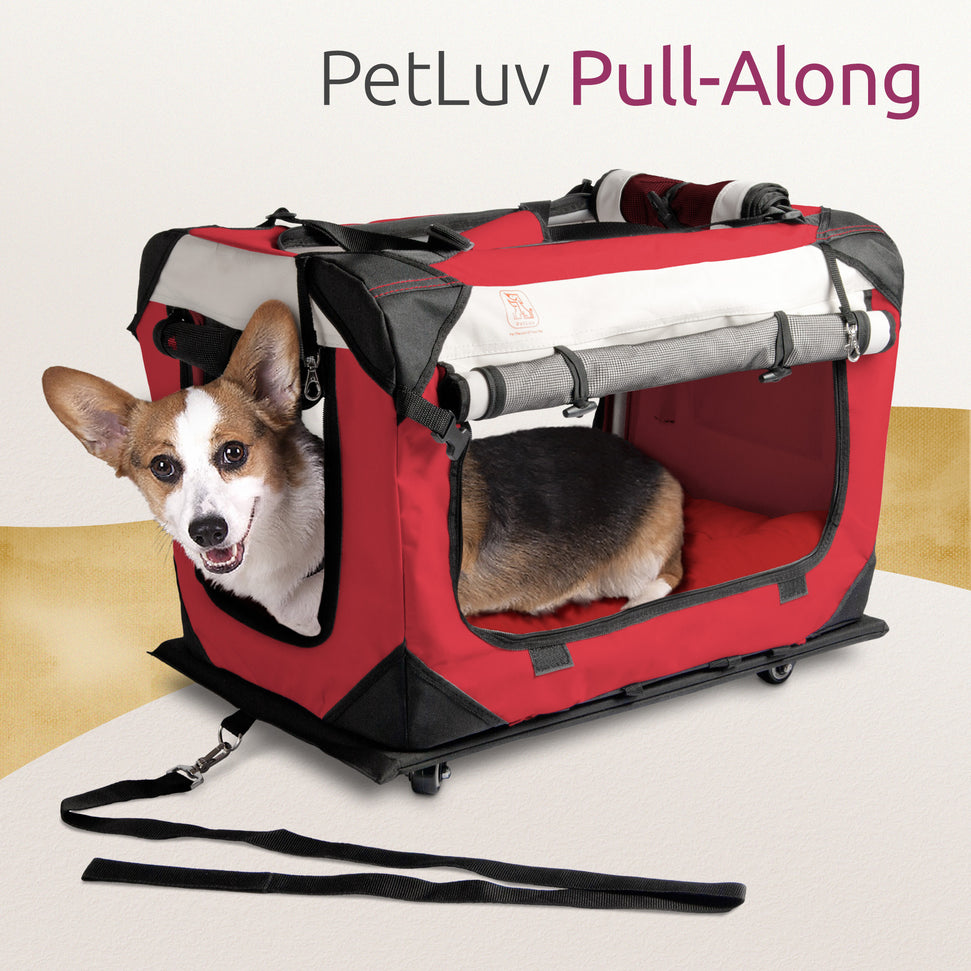 "Pull-Along" Rolling Cat & Dog Carrier & Travel Crate on Wheels