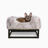 The FÜZI Elevated Dog Bed
