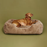 The Sammy Bolster Dog Bed