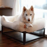 The FÜZI Elevated Dog Bed
