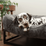 The FÜZI Elevated Dog Bed