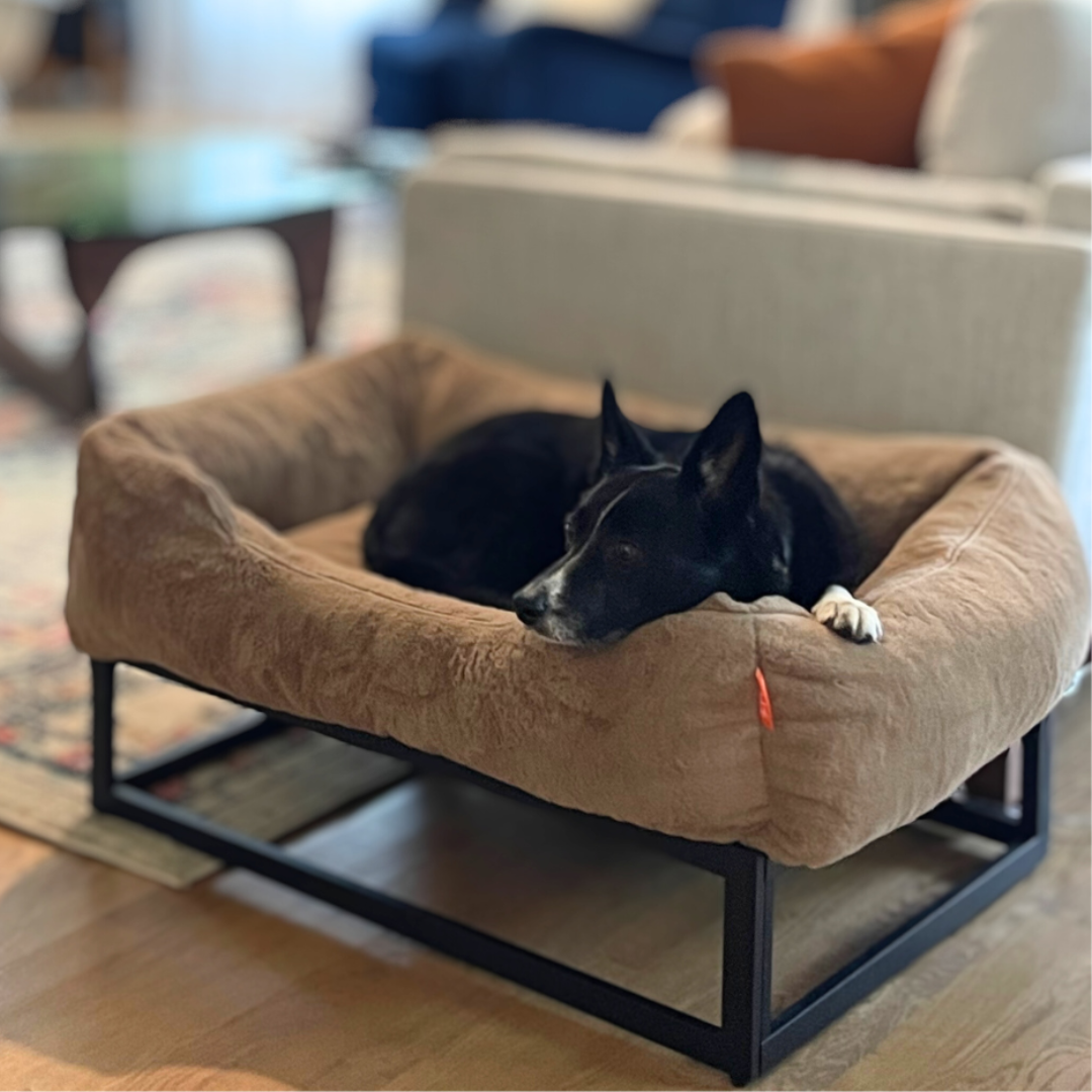 The FÜZI Elevated Dog Bed