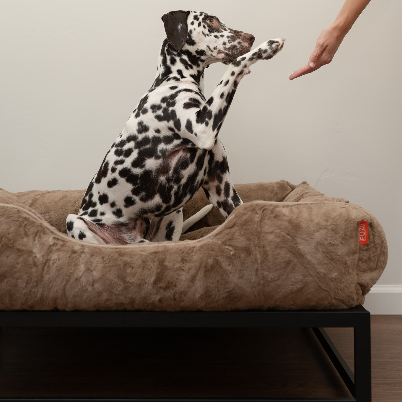 The FÜZI Elevated Dog Bed