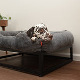 The FÜZI Elevated Dog Bed