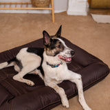 Chester & Lee | Waterproof Lounger Dog Bed Brown