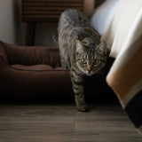 Chester & Lee | Fancy Corduroy Sleeper Dog Bed Brown