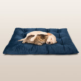 PetLuv Comfy Pillow/Bed