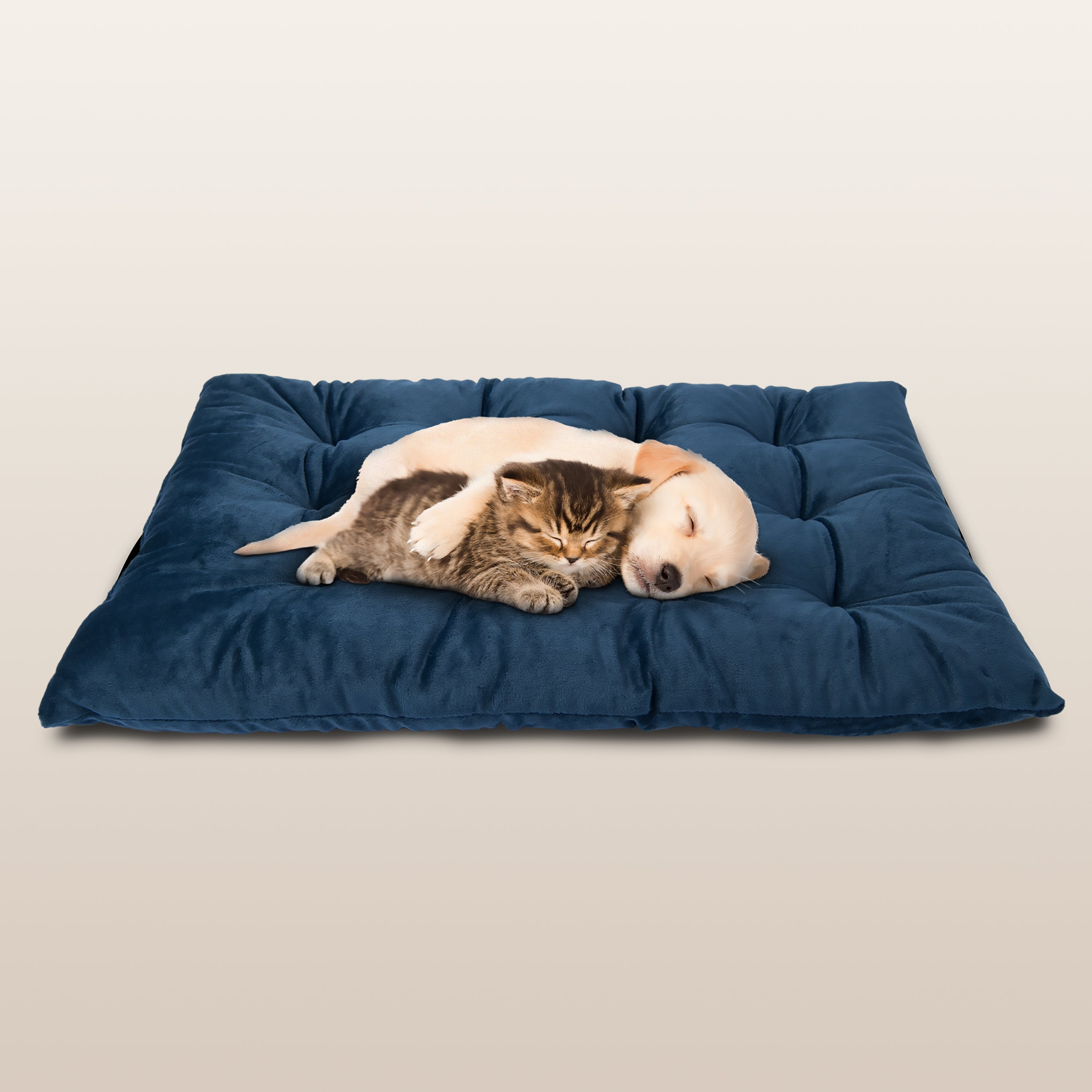PetLuv Comfy Pillow/Bed