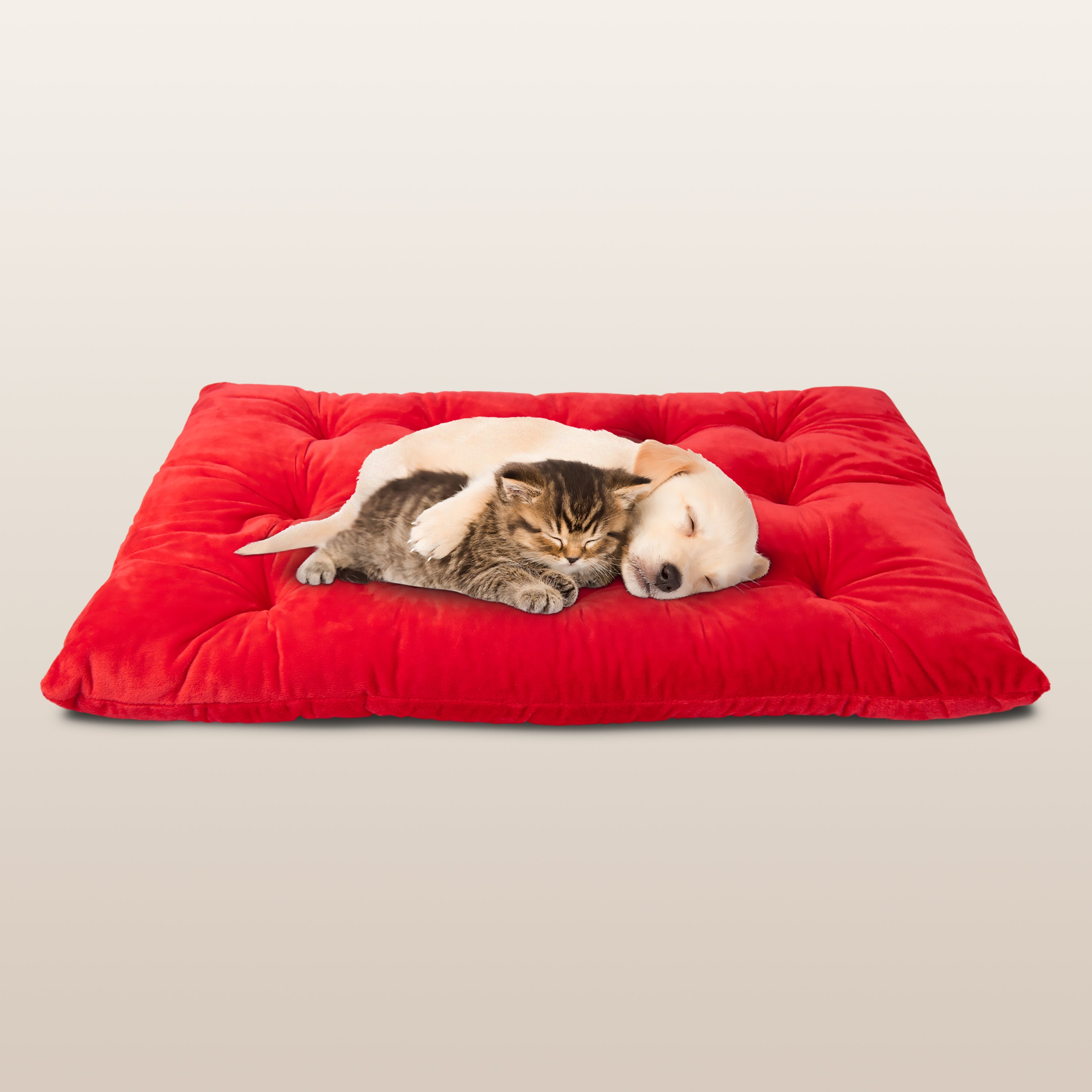 PetLuv Comfy Pillow/Bed