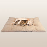 PetLuv Comfy Pillow/Bed