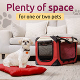 PetLuv Premium Cat & Dog Carrier