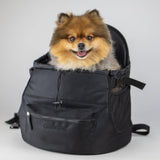 All-Black Pet Backpack